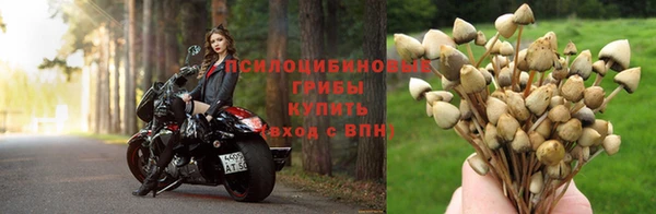 спиды Усинск