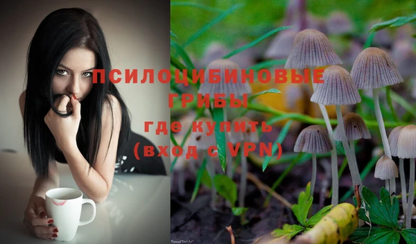 спиды Усинск