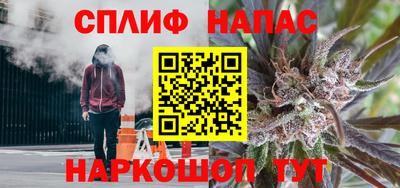 spice Гусиноозёрск