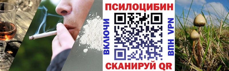 Галлюциногенные грибы Cubensis  цена наркотик  блэк спрут рабочий сайт  Благовещенск 