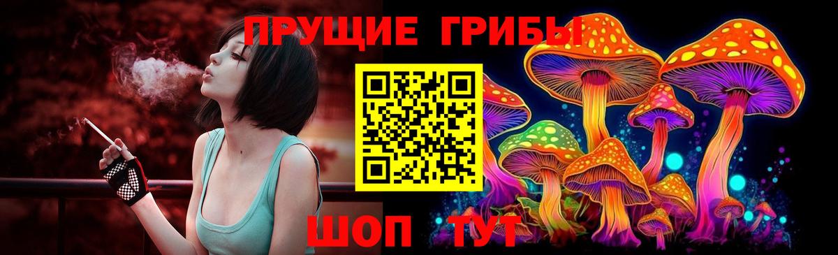 Псилоцибиновые грибы Psilocybine cubensis Благовещенск